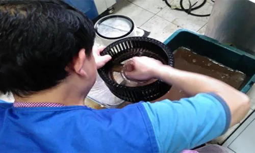 璧山区神州抽油烟机维修服务电话--江晶服务中心