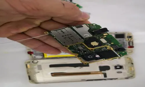 上海林润商贸有限公司