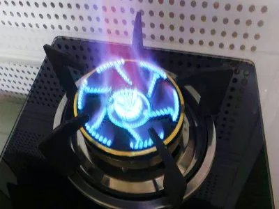 上海嘉格纳燃气灶维修电话--丰辉欣维修服务中心