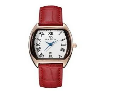 帝舵手表指定维修点--百名维修点