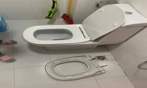 璧山区露意莎马桶维修电话(全国24小时)