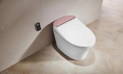 璧山区阿波罗马桶维修电话--安安美服务网点