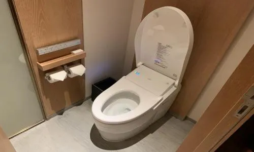 宝山区洗之朗马桶维修服务电话--盈成服务点