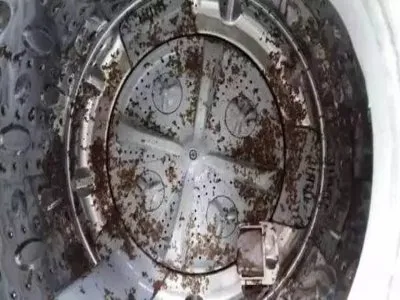 金山区小神童洗衣机维修电话(全国24小时)