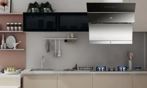 华帝油烟机CXW-200-E617拆卸