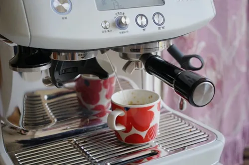 辣妈咖啡机锅炉的水会冻住吗