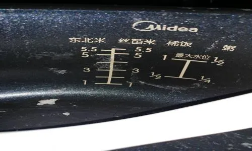 九阳原釜粒粒喷香电饭煲保温为什么出石榴