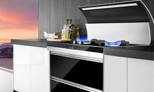 集成灶碗柜关不紧白动出来