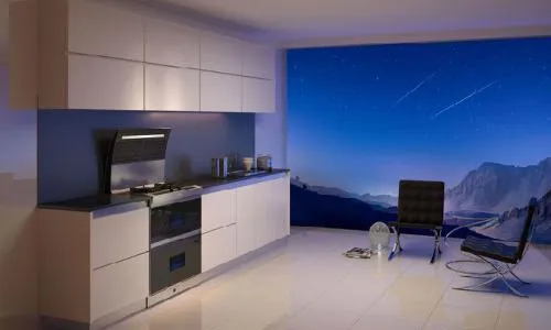 樱雪集成灶怎么样放电池