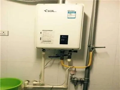 麻雀在热水器的管道里做窝好吗(图1)