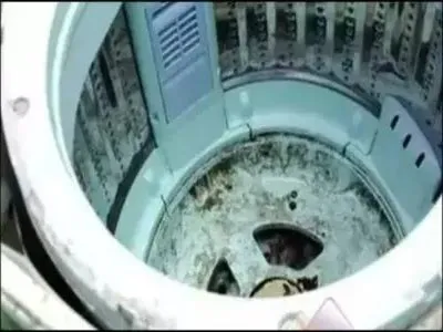 三洋滚筒洗衣机减震器怎么更换(图1) 三洋滚筒洗衣机减震器怎么更换(图1)