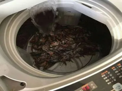 波轮洗衣机装不住水是什么情况(图1)