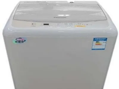 洗衣机筒自清洁能洗掉小虫子么(图1) 洗衣机筒自清洁能洗掉小虫子么(图1)