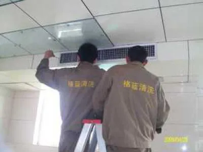 猫不小心进洗衣机了怎么办